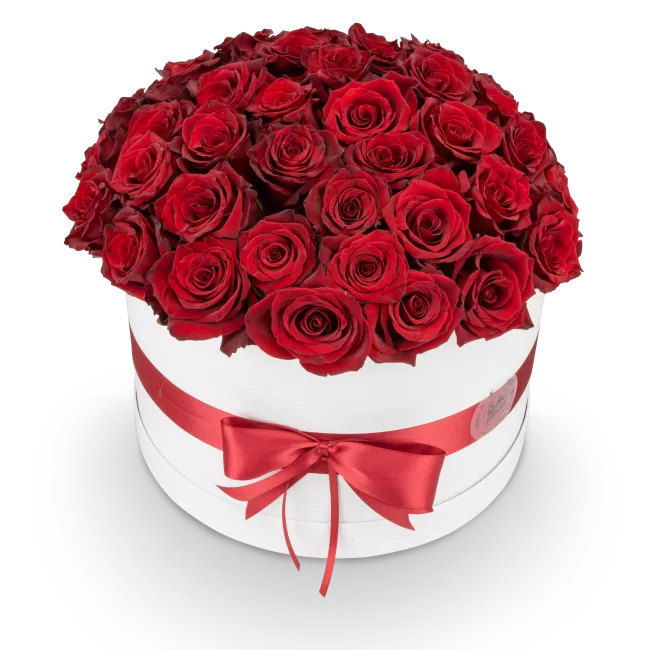 Box červených růží